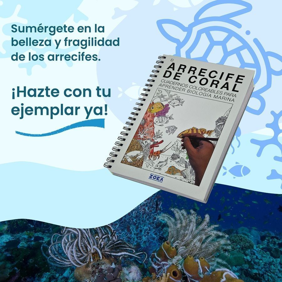 Cuaderno Coloreable Arrecife de Coral